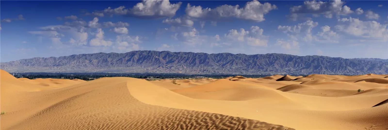 Long pale sand ridges beneath a wide blue sky at a desert edge